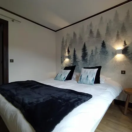 Chalet Appart'Hotel L'Eau Vive Saint-Nicolas-la-Chapelle  Exterior photo